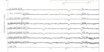 SALT обнаружил 8 горячих белых и протобелых карликов
