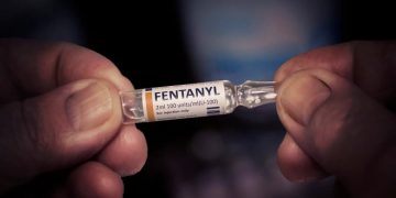 В США готовятся протестировать первую в мире вакцину против фентанила