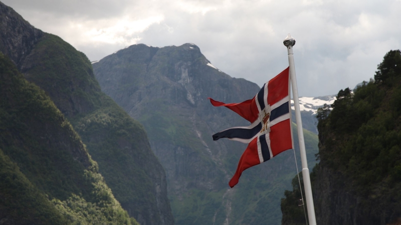 Грета Тунберг выступила против строительства ветряных электростанций в Норвегии