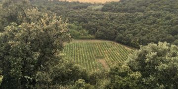 На юге Франции обнаружен метеоритный кратер