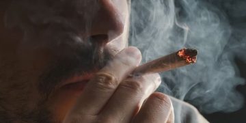 Регулярное употребление марихуаны повышает риск сердечных заболеваний на 34%