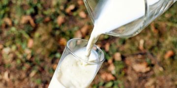 Стоимость молочной продукции на Украине продолжит расти в 2023 году