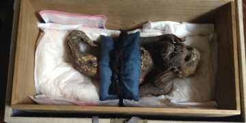 Ученые разгадали тайну мумифицированной «русалки» из буддийского храма