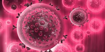 В Германии зафиксировали третий в истории случай излечения от ВИЧ