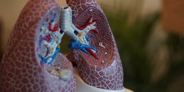 Вдыхаемый порошок SHIELD создаст в легких эффективную защитную оболочку против Covid-19