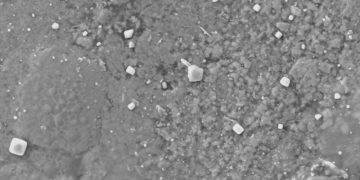 Земная атмосфера влияет на состав метеоритов