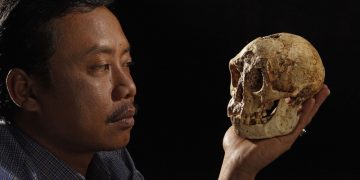 «Это разочарует всех»: реликвия из японского монастыря поразила ученых