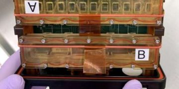 На МКС отправят образцы сердечной ткани