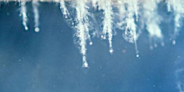 Признаки жизни можно найти в космической пыли