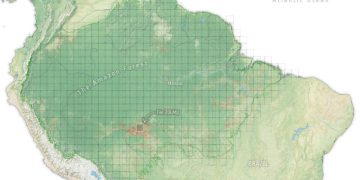 Проект Sentinel-1 for Science: Amazonas занимается мониторингом потерь лесов в Амазонии
