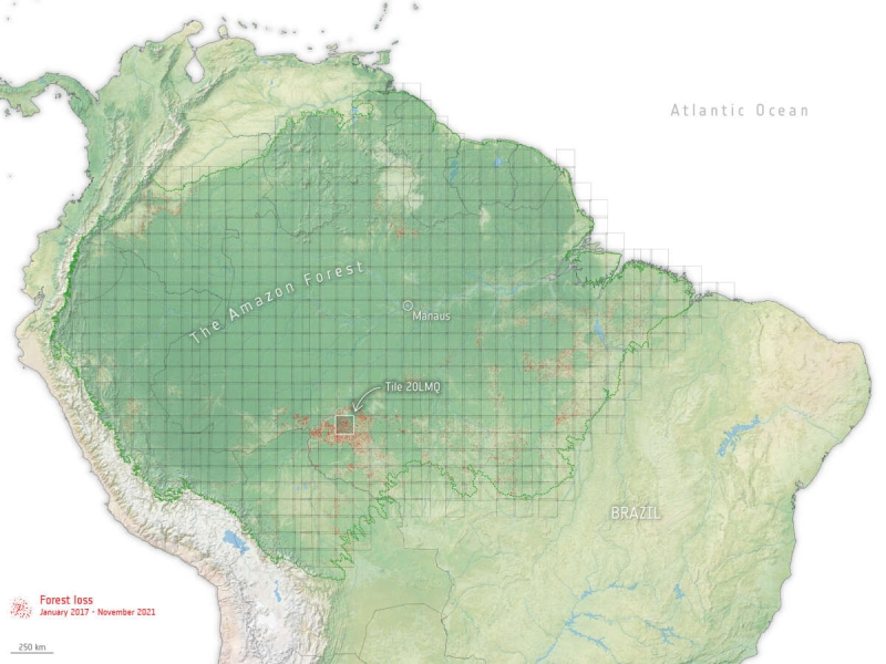 Проект Sentinel-1 for Science: Amazonas занимается мониторингом потерь лесов в Амазонии