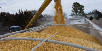 Вице-премьер Украины Кубраков назвал сроки продления зерновой сделки