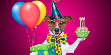 56 прикольных открыток на день рождения мужчины: как порадовать и удивить