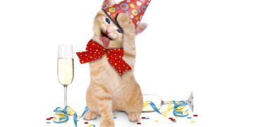 «93 красивые онлайн открытки для поздравления женщин с днем рождения