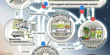 Микробы способны помочь в освоении космоса