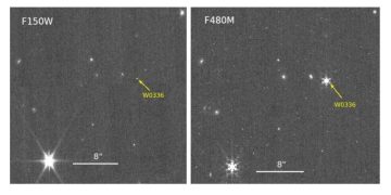 Обнаружена первая двойная система, состоящая из двух коричневых карликов класса Y