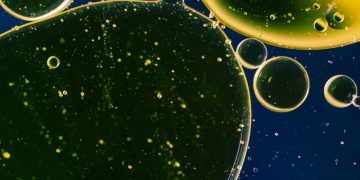 Токаев заявил о планах Казахстана увеличить поставки нефти через Азербайджан