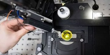 В России разработан препарат на основе платины для борьбы с раком