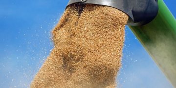 Венгрия приостановила импорт украинской сельхозпродукции