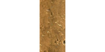 Китай наконец-то рассказал нам, что происходит с его марсоходом