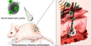 Российскими учеными разработана новая методика введения вакцин
