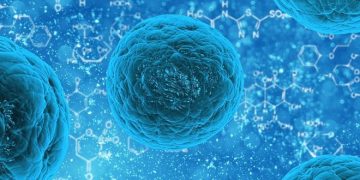 Ученые из Казани разработали методику лечения спинного мозга