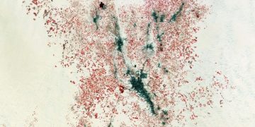 Земля из космоса: возделывание пустыни