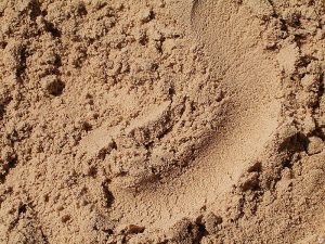 Песок: разновидности, области использования, рекомендации выбора