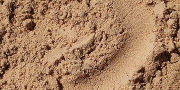 Песок: разновидности, области использования, рекомендации выбора