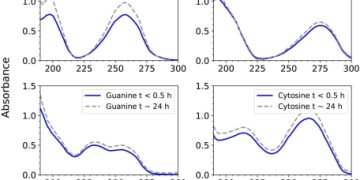 Основания РНК и ДНК могут существовать в облаках Венеры