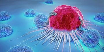 В СПбПУ разработали аппарат для лечения опухолей ультразвуком