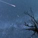 Звездопады стоит наблюдать не только летом