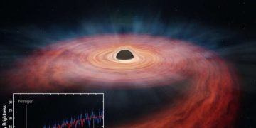 Ученые изучили звезду, разорванную гигантской черной дырой