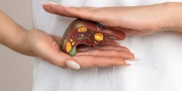 В РХТУ предложили лечить цирроз печени с помощью аэрогеля