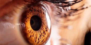 Тюменскими учеными выявлена зависимость депрессии от глаукомы