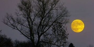 Значимость внеземных ресурсов возрастает