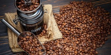 Свежеобжаренный кофе: виды, особенности, как выбирать вкусный кофе