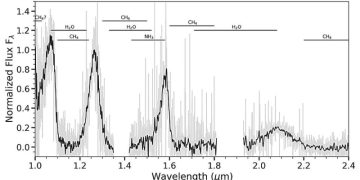 Наблюдения показывают, что W1055+5443 является коричневым карликом класса Y