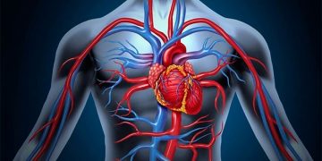 Самарскими учеными найден простой метод предупреждения инфаркта