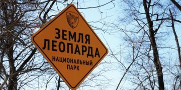В Приморье участок подопечного леопарда папы Римского отметили знаком