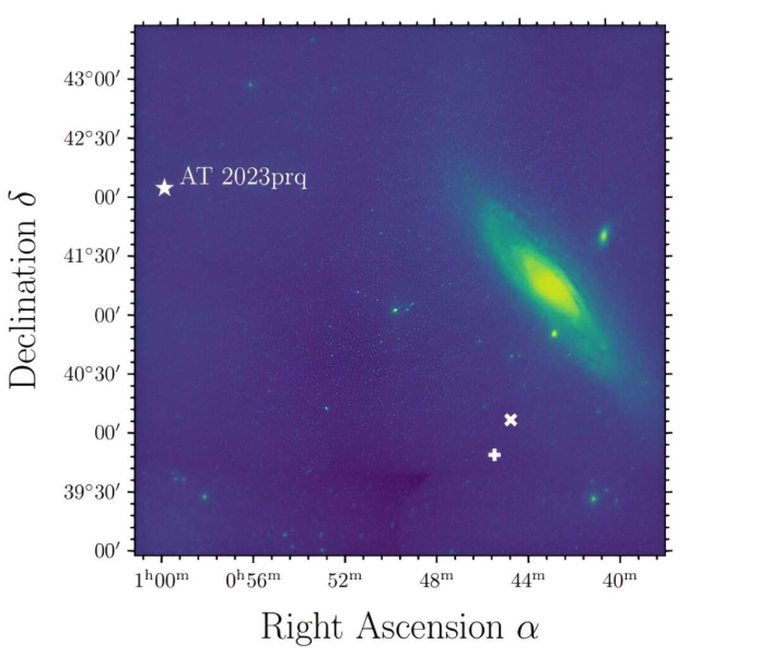 Астрономы изучили новую звезду AT 2023prq