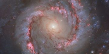 «Хаббл» запечатлел спиральную галактику NGC 1566