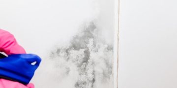 Профессиональные методы эффективного и безопасного удаления плесени в жилых помещениях