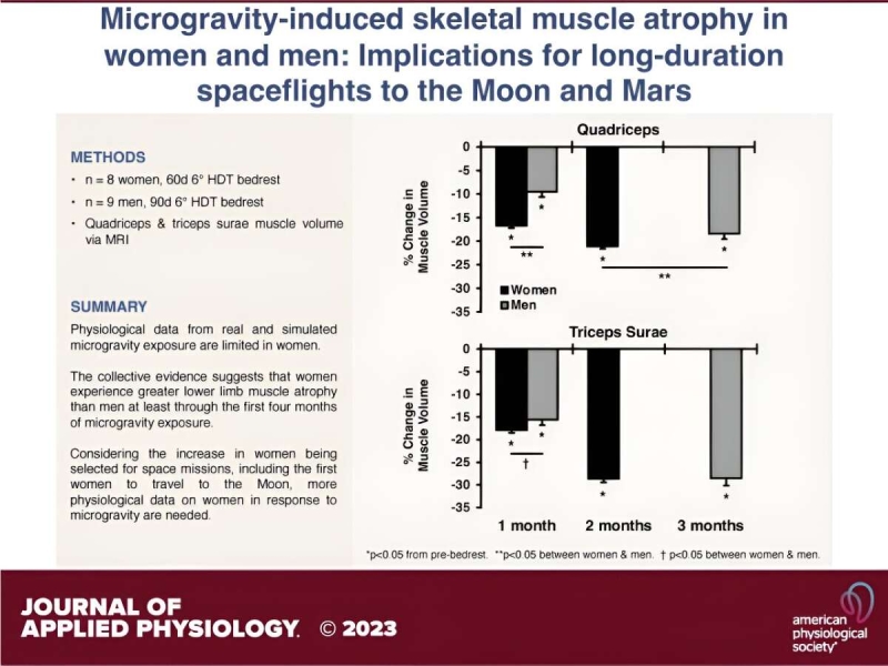Исследования показали, что женщины теряют больше мышечной массы во время космических полетов