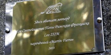 В Приморье в местах обитания леопарда папы римского задержали охотника