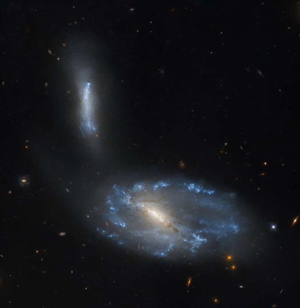 «Хаббл» запечатлел взаимодействующие галактики NGC 5410 и UGC 8932