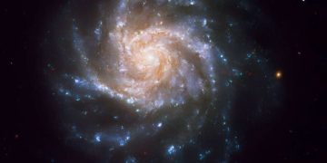 Исследование показывает, что в ранней Вселенной было относительно много спиральных галактик