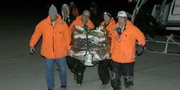 Образцы с кометы Wild 2 раскрывают ее удивительное прошлое