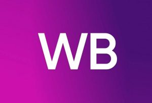 LikeStats: функциональный сервис аналитики и управления собственными продажами на WildBerries