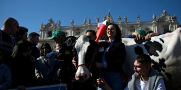 Итальянские фермеры привезли корову на проповедь папы Римского